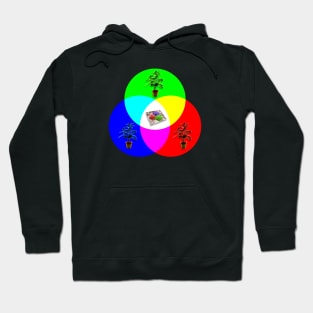 Herb Wheel Hoodie